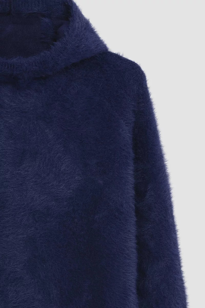 Sweat à capuche Antonina coupe cropped